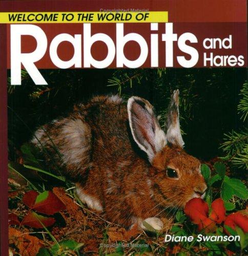 Welcome to the World of Rabbits and Hares