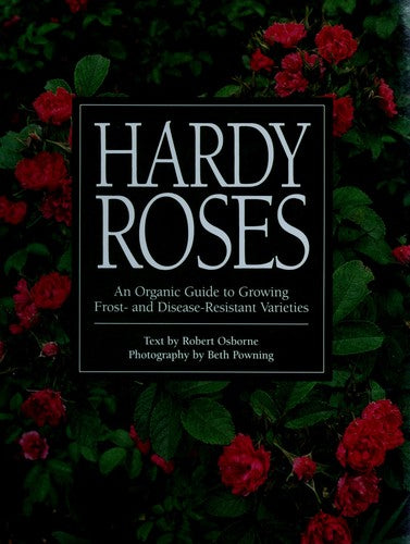 Hardy Roses