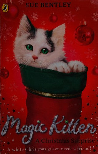 Christmas Surprise