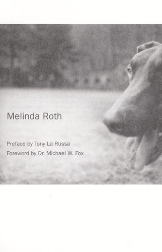 The Man Who Talks to Dogs: The Story of America's Wild Street Dogs and Their Unlikely Savior