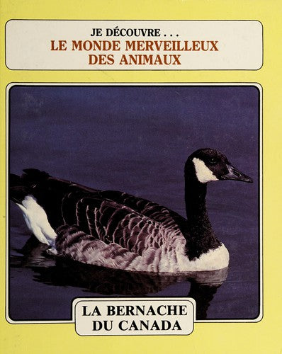 Canada goose