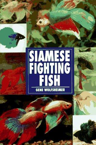 Siamese Fighting Fish