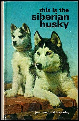 This Is the Siberian Husky