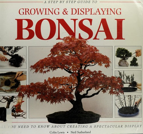A Step-by-Step Guide to Growing and Displaying Bonsai