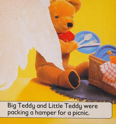 Teddy Bear's Picnic