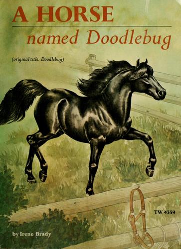 Horse Named Doodlebug