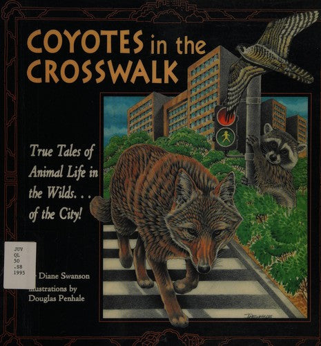 Coyotes
