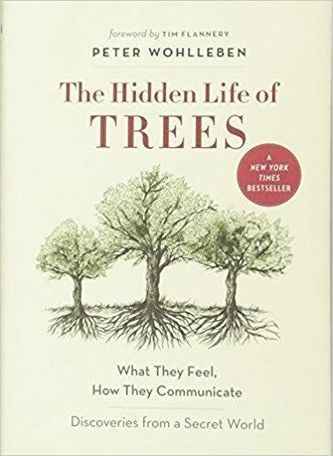 The Hidden Life of Trees: What They Feel, How They Communicate_Discoveries from A Secret World